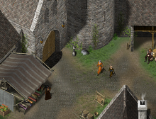 Load image into Gallery viewer, Medieval: Town &amp; Country