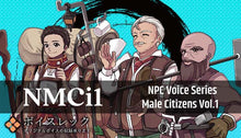 Load image into Gallery viewer, NPC Male Citizens Vol.1
