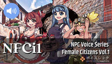 Load image into Gallery viewer, NPC Female Citizens Vol.1